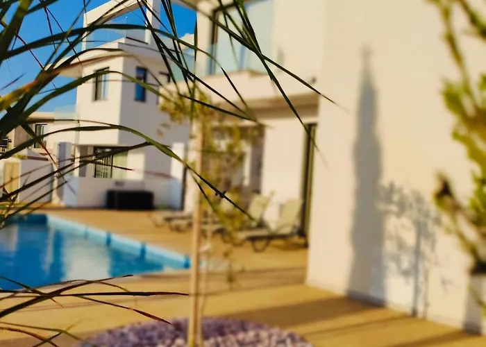 Ruach パラリムニ